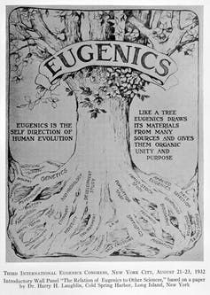 Illustration of a tree representing eugenics from a eugenics conference in 1932