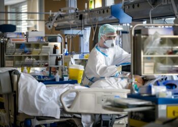 A new oral antiviral drug for COVID is being tested in humans – can it make a difference?