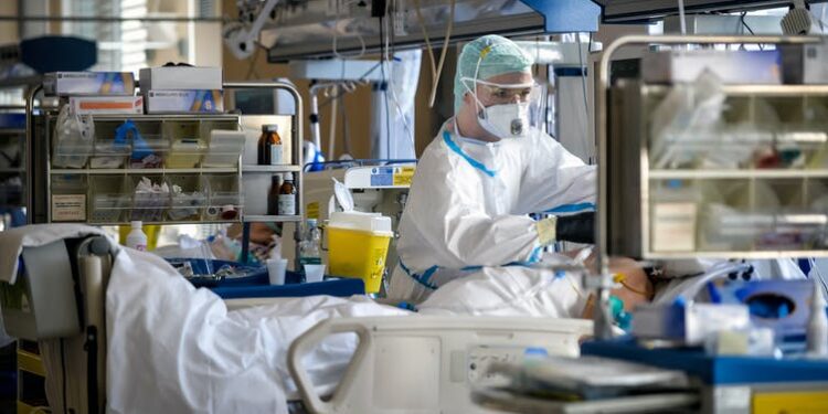 A new oral antiviral drug for COVID is being tested in humans – can it make a difference?