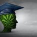 How does smoking marijuana affect academic performance? Two researchers explain how it can alter more than just moods
