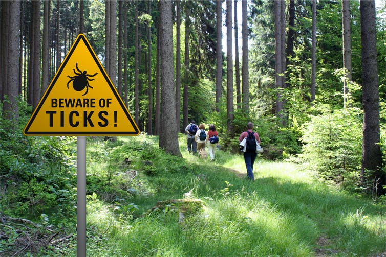 A warning sign reading 'Beware of ticks!' in the foreground, with a group of hikers entering a forested area in the background.