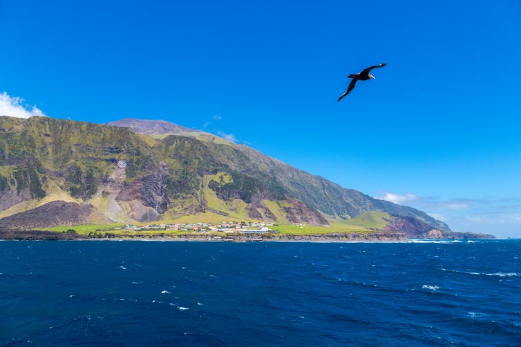 The coast of Tristan da Cunha