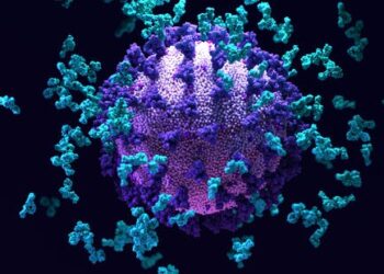 COVID: new antibody treatment could offer up to 18 months’ protection against severe disease