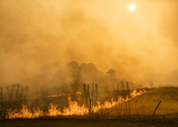 Neurotoxins in the environment are damaging human brain health – and more frequent fires and floods may make the problem worse