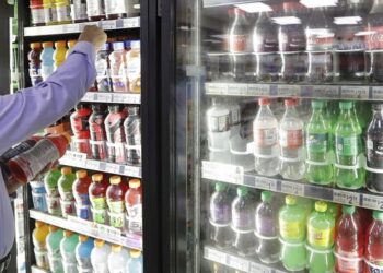 Public acceptance of sin taxes on sugar or fat not dependent on evidence