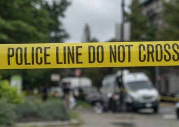 Gun violence soared during the COVID-19 pandemic, a new study finds – but the reasons why are complex