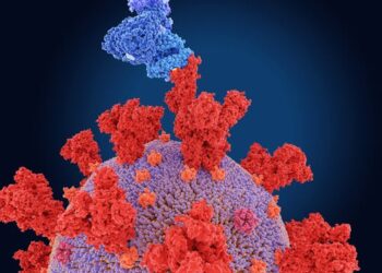 Will omicron – the new coronavirus variant of concern – be more contagious than delta? A virus expert explains what researchers know and what they don’t