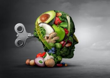 Junk food and the brain: How modern diets lacking in micronutrients may contribute to angry rhetoric