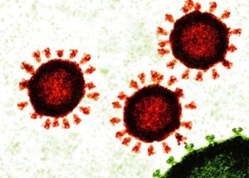 How can scientists update coronavirus vaccines for omicron? A microbiologist answers 5 questions about how Moderna and Pfizer could rapidly adjust mRNA vaccines