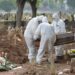 Why excess deaths have varied so greatly around the world during the pandemic