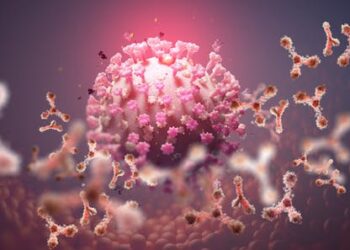 Omicron might evade antibodies – but that doesn’t mean you don’t have immunity