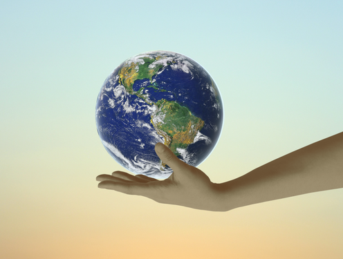 One Health: A crucial approach to preventing and preparing for future pandemics