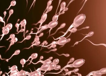 Great balls of fire: How heating up testicles with nanoparticles might one day be a form of male birth control