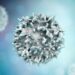 COVID: why T cell vaccines could be the key to long-term immunity