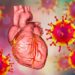 Myocarditis: COVID-19 is a much bigger risk to the heart than vaccination