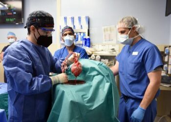 Pig’s heart transplant: was David Bennett the right person to receive groundbreaking surgery?