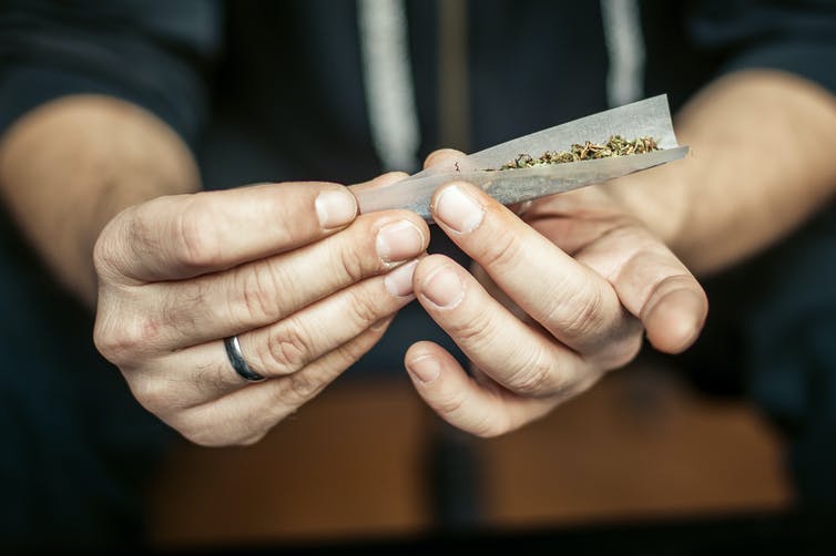 A person roles a marijuana joint between their fingers.
