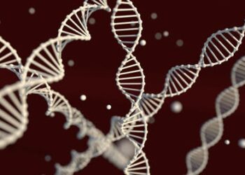 Genetics helps estimate the risk of disease – but how much does it really tell us?