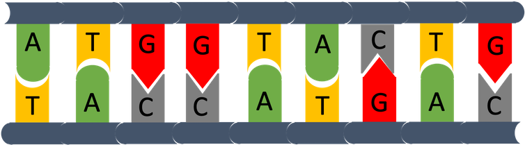 Illustration of matching pairs aligned vertically.