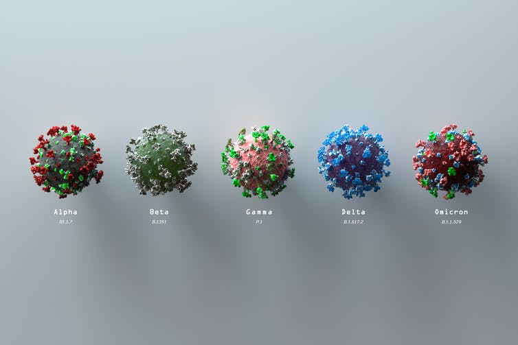 Five different colored spherical coronaviruses representing some of the existing variants.