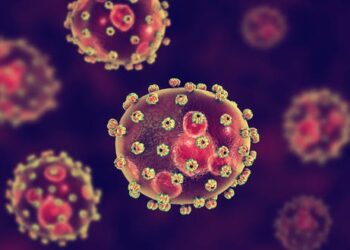 Lassa fever detected in the UK – here’s what you need to know