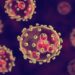 Lassa fever detected in the UK – here’s what you need to know