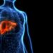 Uncovering the genetic causes of fatty liver disease — a growing health concern