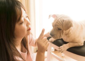 Treating pets for cancer can revolutionize care for humans