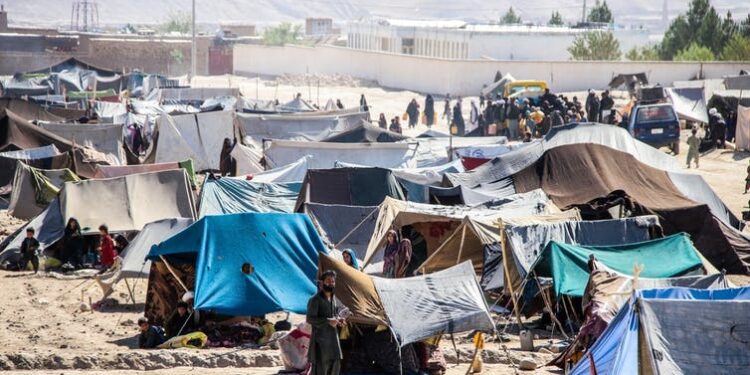 COVID in Afghanistan: low vaccine coverage and a crumbling health system could trigger a humanitarian crisis