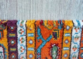 How we think about immunity can help us navigate COVID-19 risks together