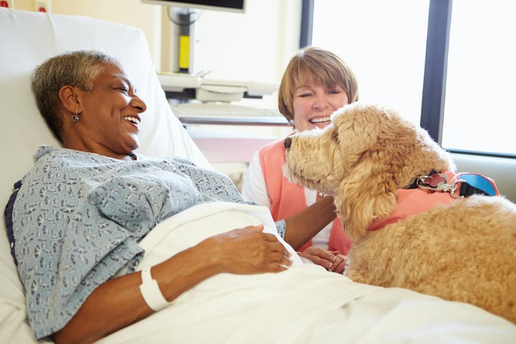 A woman in a hospital bed, in a hospital gown, smiles and pets a fluffy dog as another woman looks on.