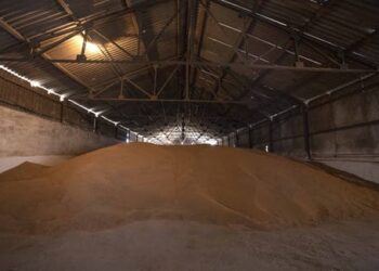 ‘Too many people, not enough food’ isn’t the cause of hunger and food insecurity