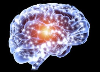 You’ve likely heard of the brain’s gray matter – here’s why the white matter is important too