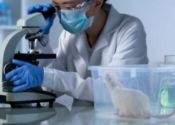 Laboratory mice are usually distressed and overweight, calling into question research findings