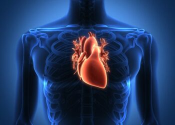 Pig-human transplants may be a misguided attempt to address the organ shortage