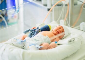 Stem cell therapy offers a new hope to repair brain damage in newborns