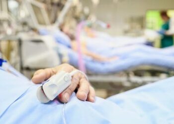 Antibiotics can lead to life-threatening fungal infection because of disruption to the gut microbiome – new study