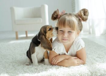 Hepatitis spike in children linked to dogs – but the evidence is weak