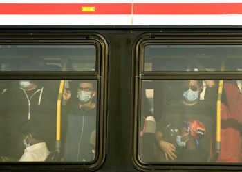 Adapting to life with COVID-19: Lessons our own immune system can teach us about public health information