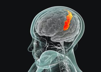 How mindfulness and dance can stimulate a part of the brain that can improve mental health