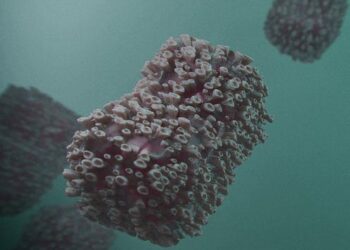 Metaphors matter: Why changing the name ‘monkeypox’ may help curb the discriminatory language used to discuss it