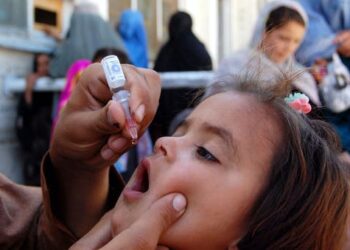 Poliovirus in London sewage – what you need to know