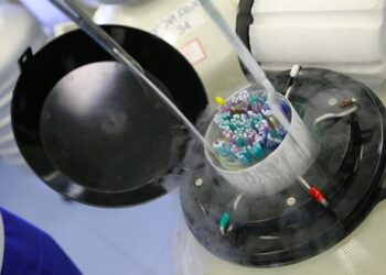 Eggs and sperm can now be stored for up to 55 years – here’s what that means for donors and people seeking fertility treatment