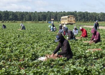 For migrant farm workers, housing is not just a determinant of health, but a determinant of death