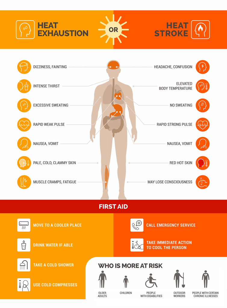 Illustration of human body listing symptoms of heat strike and heat exhaustion