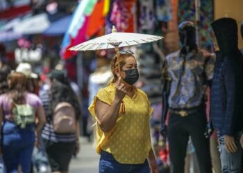 How the omicron subvariant BA.5 became a master of disguise – and what it means for the current COVID-19 surge