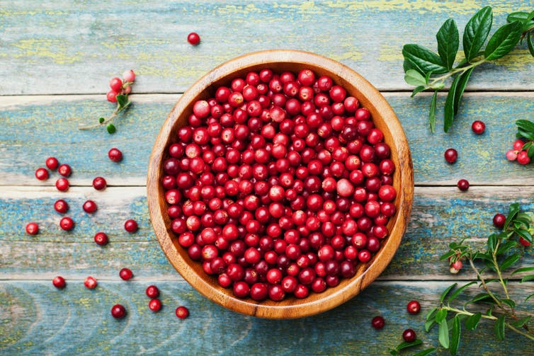 A bowl full of lingonberries.