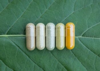 Nature is the world’s original pharmacy – returning to medicine’s roots could help fill drug discovery gaps