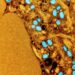 Treating monkeypox like an STI may help control the outbreak, but stigma is a danger