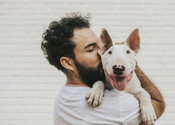 A dog has caught monkeypox from one of its owners, highlighting risk of the virus infecting pets and wild animals